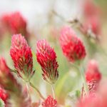 Natural Hot Flash Solution: 7 Proven Ways to Avoid Painful Menopause Symptoms